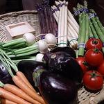 ラティオ4･2･2 - 