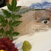 活き造りと明太なべ 小僧 - 