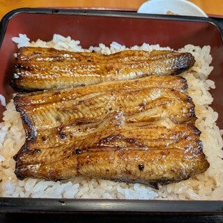 鮒眞_1