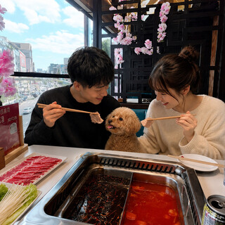 山城辣妹子重慶火鍋_0