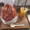 マルシェ陽だまり