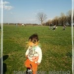 八紘学園 農産物直売所 - 走り回って遊びました♪