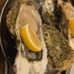 魚介イタリアン酒場 北町商店 - 