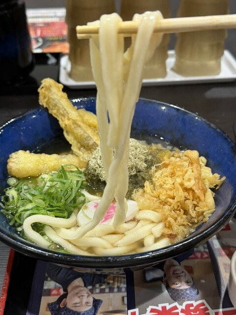 Suke San Udon Shimotoori ten - Karashimacho/Udon (Wheat noodles