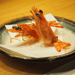 いなせ 寅”衛門 - 食べた活車海老の頭とシッポを唐揚げに！