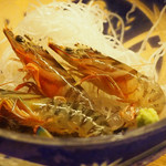 いなせ 寅”衛門 - 活車海老