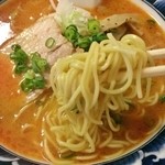 麺食堂 一真亭 - 此方オリジナルのタイプ