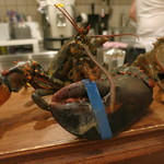 モンプチコションローズ - 27年4月　活オマール海老