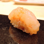 鮨 心白 - ボタン海老