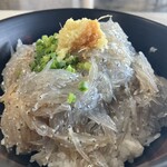 田子の浦港 漁協食堂 - ◼️日本一丼。やっぱり1匹、1匹のサイズ大きいよねー。あ、これ、盛りもよくて通常の丼の生しらす2.5倍量あります