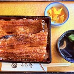 うな勢 - 