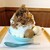 木下茶園 - 料理写真:横からの図