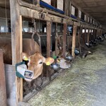 山川牧場ミルクプラント - 