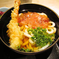季節割烹 勝味 - ミニ讃岐うどん