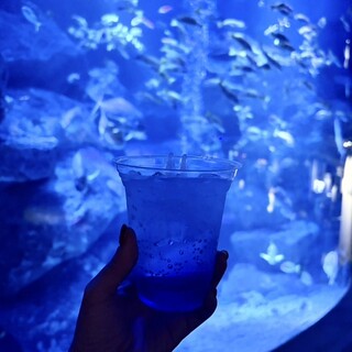 ペンギンカフェ_1