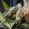 日本料理 嵯峨野 (ホテル日航プリンセス京都) - メイン写真: