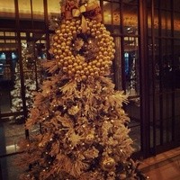 イタリアンダイニング ジリオン - 