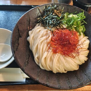 うどん 色彩_0