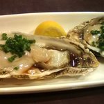 Shunsai Kisai Shokuraku - 酢牡蠣