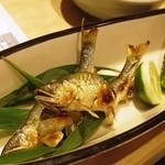 瓢斗 - 稚鮎の塩焼き