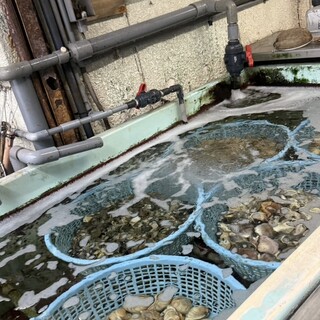 萩の茶屋_1