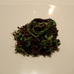 オマージュ - 本鱒・青タデ紅タデと共に♪