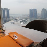 The Ritz-Carlton Millenia Singapore - クラブラウンジからの眺望（マリーナエリア）☆