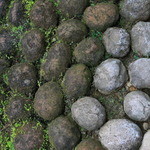 樂翠亭美術館 カフェ - 