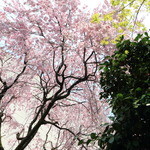 樂翠亭美術館 カフェ - 