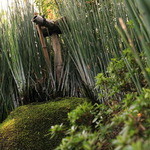 樂翠亭美術館 カフェ - 