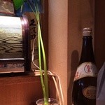 ひろや - 201504 ひろや  育ってます（笑）