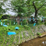 つぼみ - 