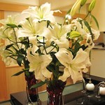 博多名代 吉塚うなぎ屋 - 