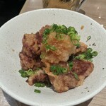 373650063 - マグロタツタ揚げ