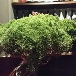 龢 - 【H26.12.13】ブルゴーニュのブランから。。