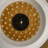 ガストロノミー ジョエル・ロブション - 