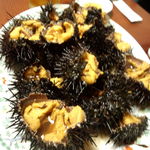 ろばた焼き 魚政 - うに