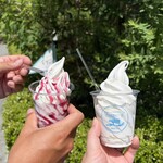Ｔicco Ｔicco - 料理写真: