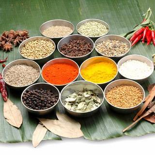 化学調味料・添加物などを一切使わない本格自然派インド料理。