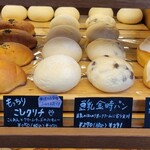 Papain - 