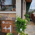 Papain - 