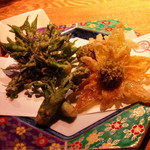 喰わせ屋 おんど - 山菜の天ぷら／ふきのとう・たらの芽・こしあぶら