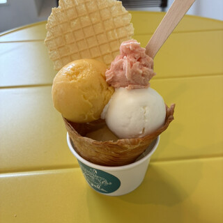 GELATERIA Angela_0