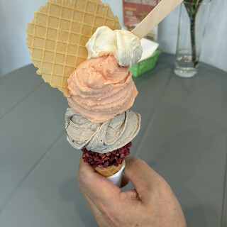 GELATERIA Angela_1
