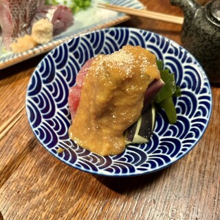 ウミネコ_1