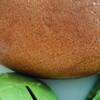 テコナベーグル 大丸梅田店