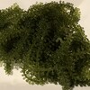 うどんde九州ダイニング 昌屋 - 