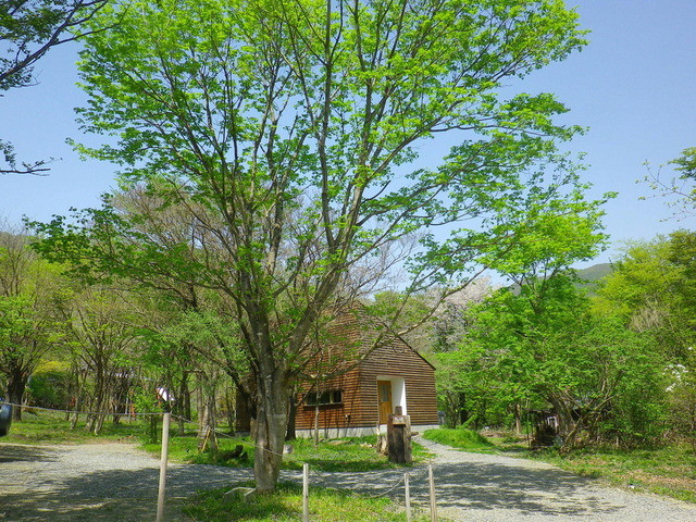 ブルー コーヒー（BLUE COFFEE） - 蔵王町その他（カフェ）