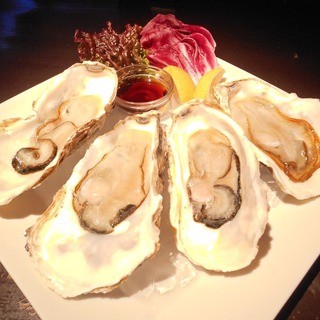 ビアザウルス_2