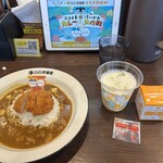 カレーハウスCoCo壱番屋  - 料理写真: